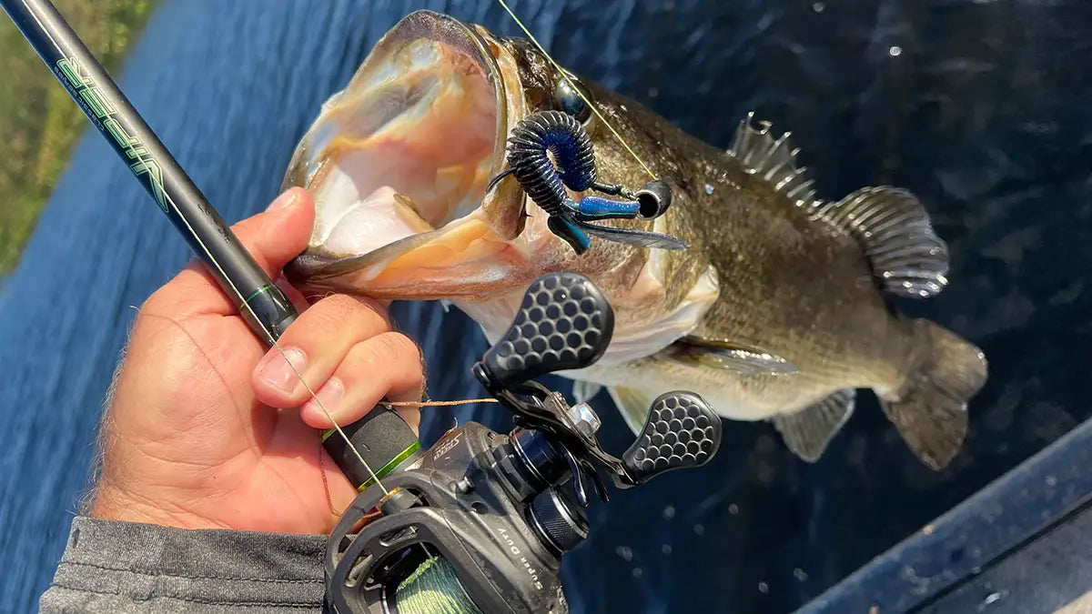bass lures for rivers Bad River Tackle Multi-Species Mega Tackle Assortment Fishing Kit Smallmouth Bass Fishing Best Bait