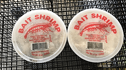 Shrimp (Frozen Bait) - NORTH RIVER OUTDOORS