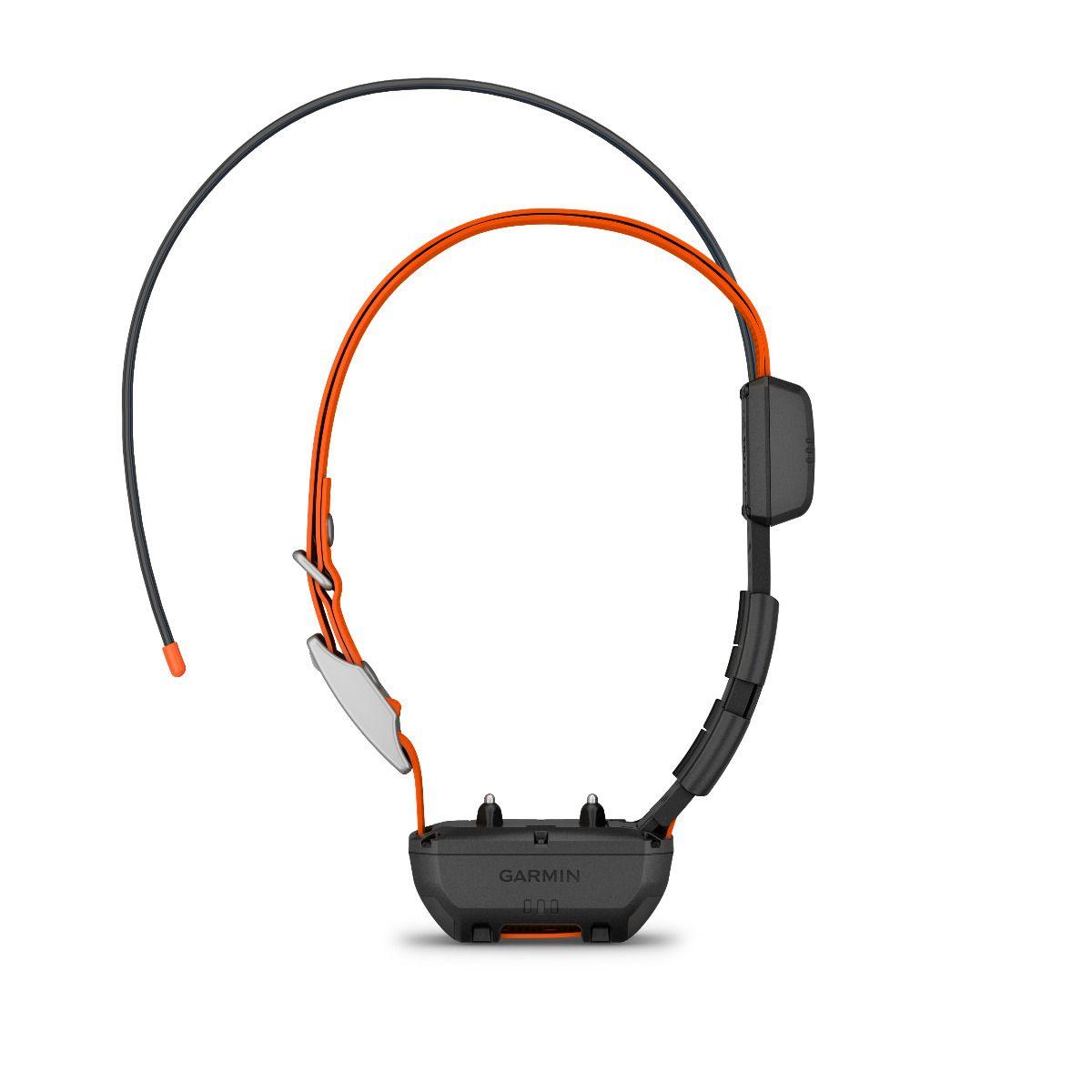 Garmin Alpha TT25 Track & Train Dog Collar - NORTH RIVER OUTDOORS