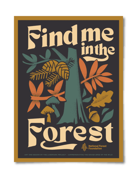 Find Me in the Forest Poster - NORTH RIVER OUTDOORS