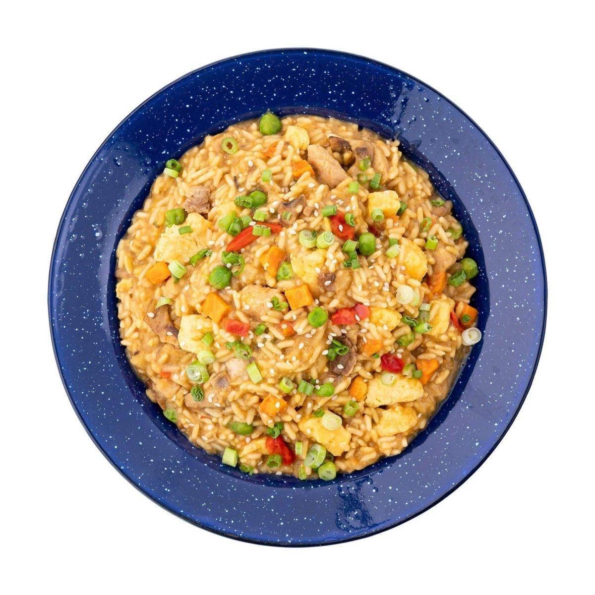 Mountain House Chicken Fried Rice Survival & Emergency Food (Pouch) - NORTH RIVER OUTDOORS