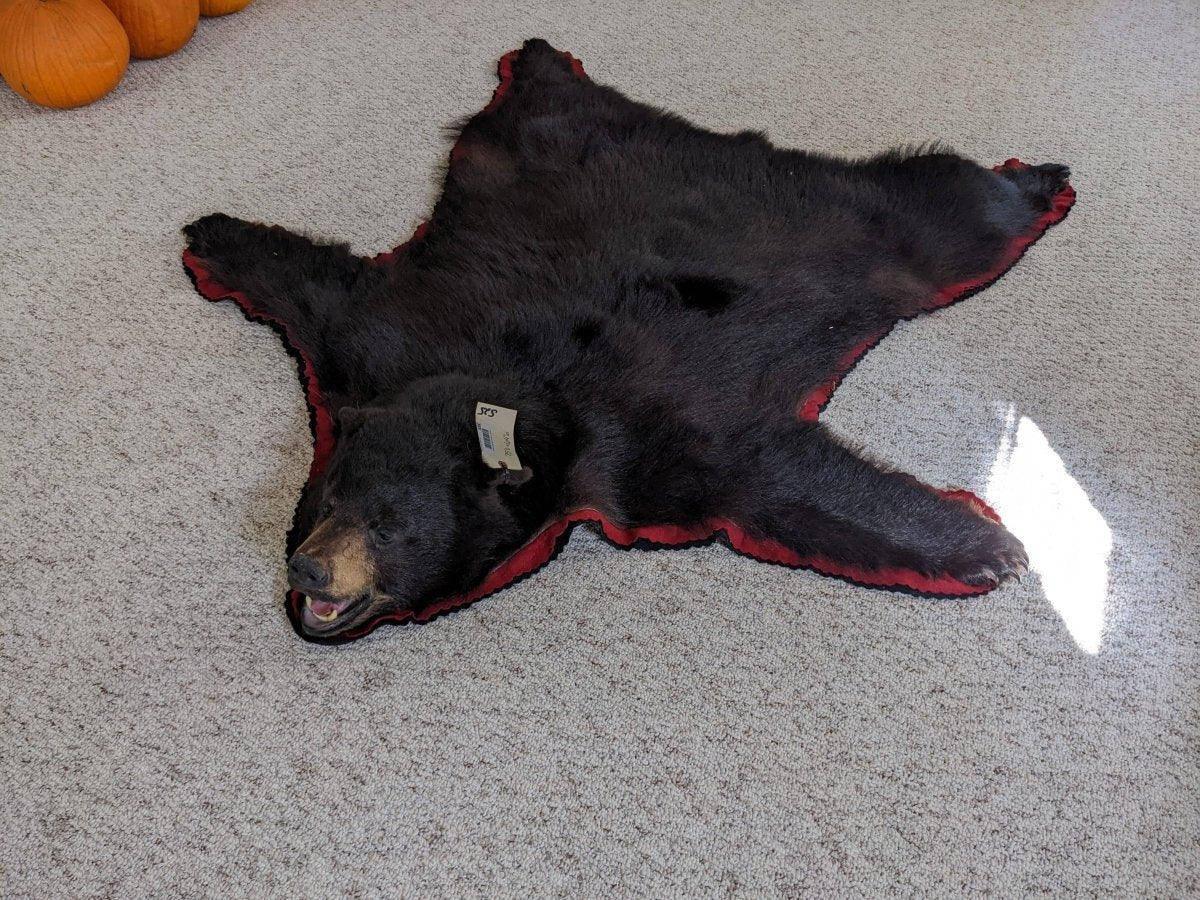 Authentic Black Bear Rug - NORTH RIVER OUTDOORS