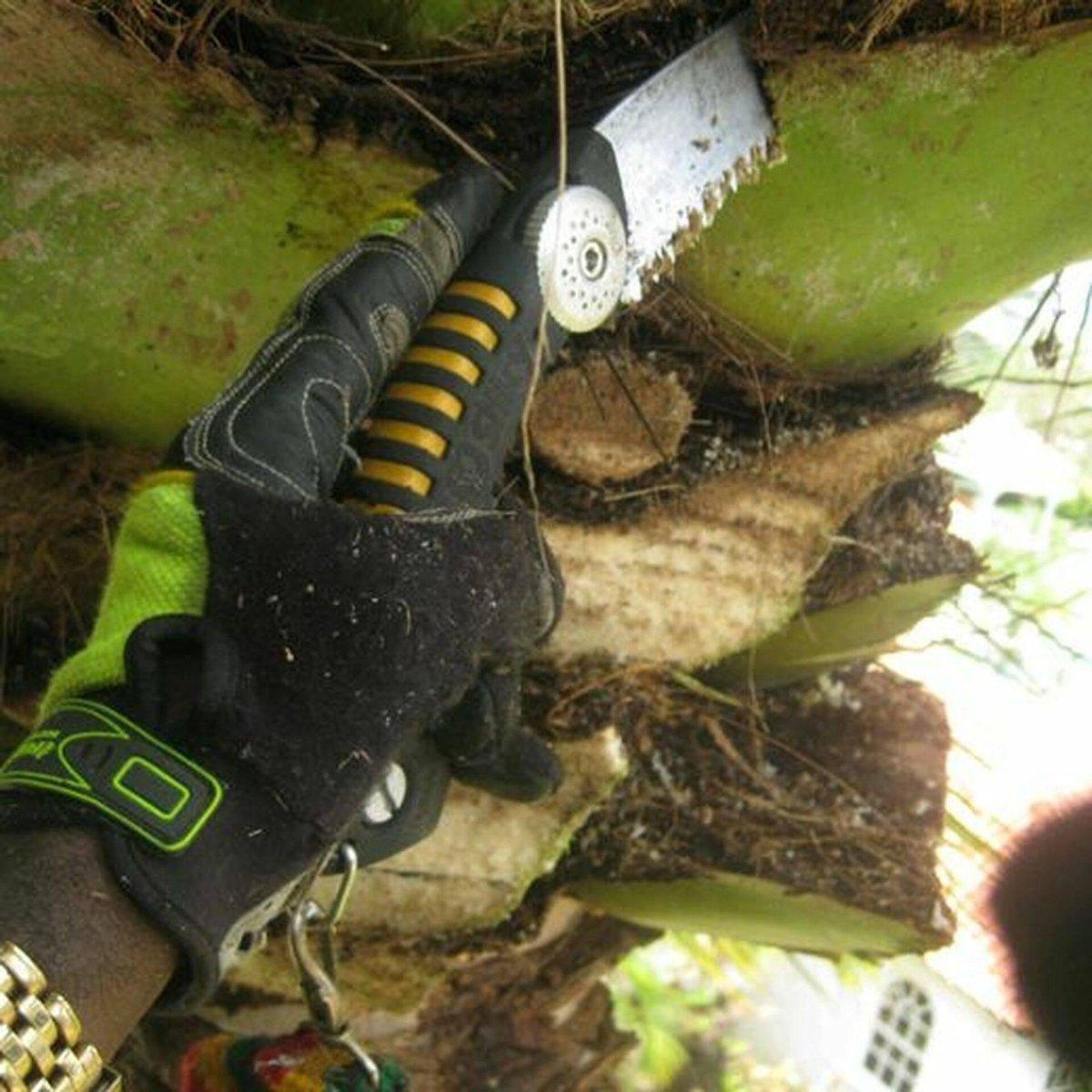 Silky SUGOI 420mm Arborist Hand Saw (390-42) - NORTH RIVER OUTDOORS