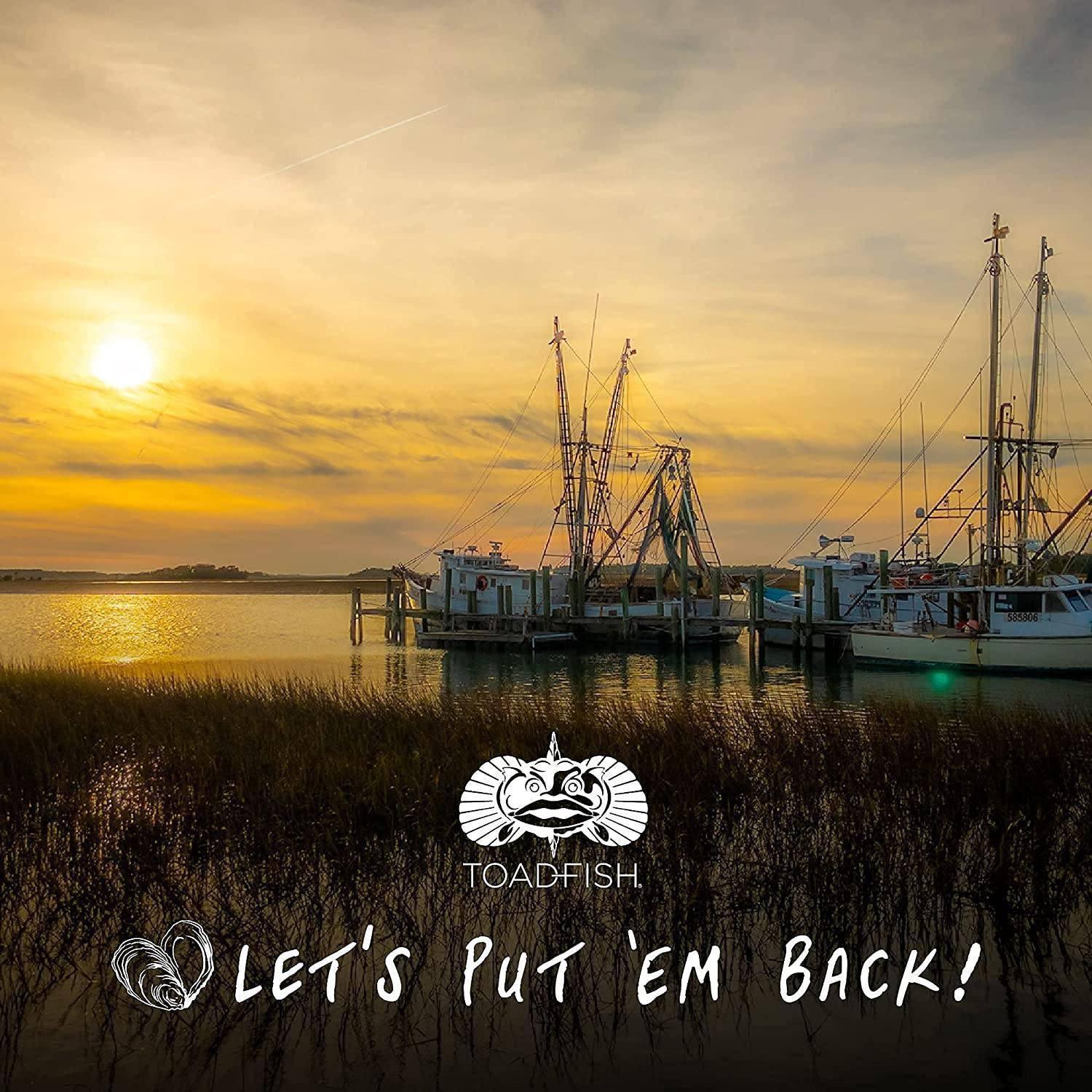 Toadfish Non-Tipping 12oz Can Cooler - NORTH RIVER OUTDOORS