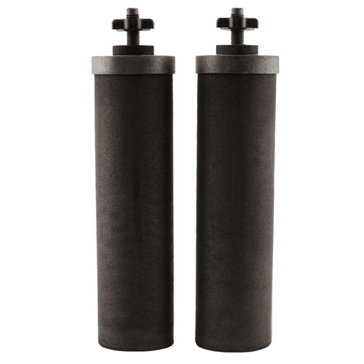 Black Berkey Replacement Elements BF2 (Set of 2) from NORTH RIVER OUTDOORS