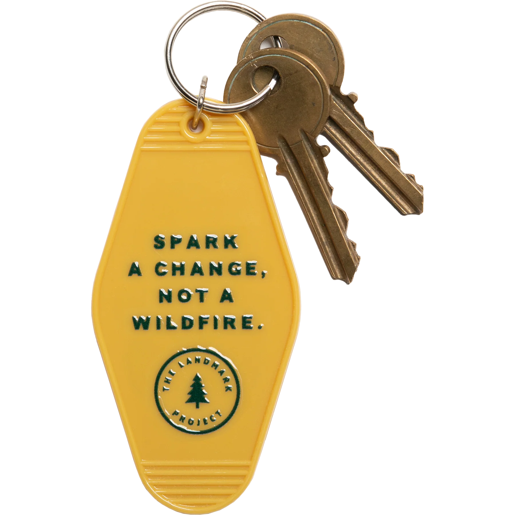 Smokey Prevent Wildfires Keychain