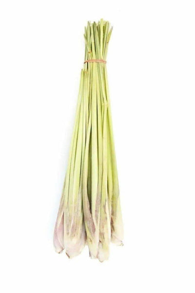 Lemongrass Essential Oil (Organic) - NORTH RIVER OUTDOORS