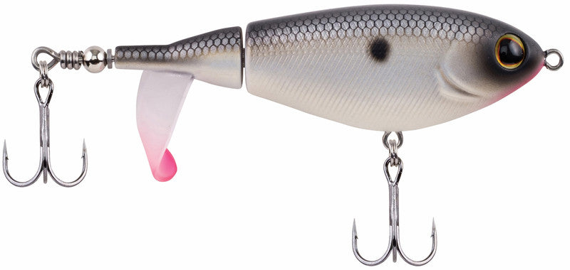 Berkley Choppo 105 Topwater Lure - 4" - 3/4oz - MF Shad