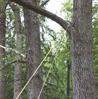 Green Mountain Pro High Limb Chainsaw (USA) - NORTH RIVER OUTDOORS
