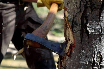 Helko Hessen Woodworker Axe - NORTH RIVER OUTDOORS