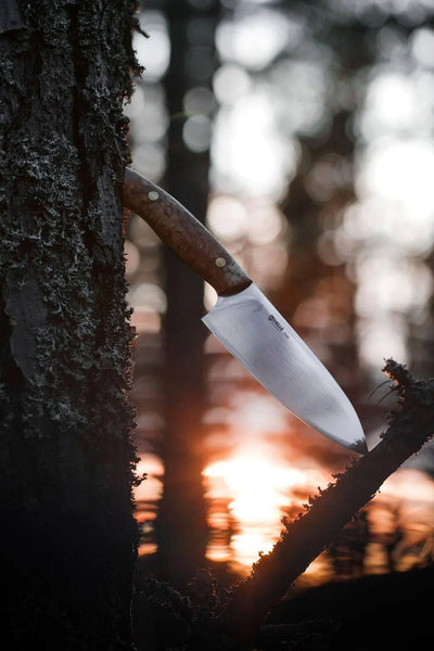 Helle Dele Premium Outdoor Chef Knife Curly Birch (6.30" 12C27) - NORTH RIVER OUTDOORS
