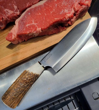 Silver Stag Bullnose Butcher & Carver Elk D2 Fixed Blade Knife - NORTH RIVER OUTDOORS