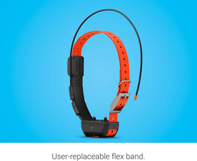 Garmin Alpha TT25 Track & Train Dog Collar - NORTH RIVER OUTDOORS