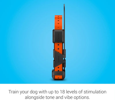 Garmin Alpha TT25 Track & Train Dog Collar - NORTH RIVER OUTDOORS