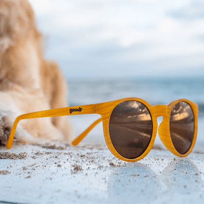 Goodr Bodhi's Ultimate Ride Sunglasses - NORTH RIVER OUTDOORS