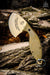 TOPS Backwoods Skinner SKIN-01 Fixed 3" Coyote Tan Blade Gut Hook OD Green Micarta Handles from NORTH RIVER OUTDOORS