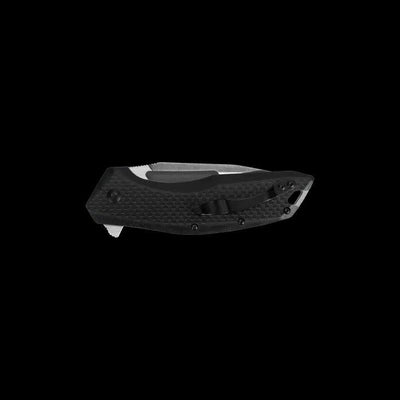 Kershaw 3935 Flourish Assisted Blade 3.5" - NORTH RIVER OUTDOORS