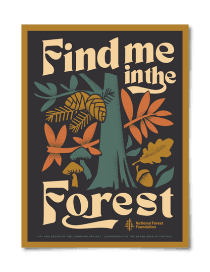 Find Me in the Forest Poster - NORTH RIVER OUTDOORS