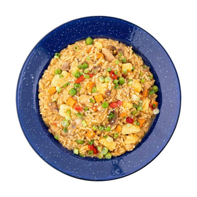 Mountain House Chicken Fried Rice Survival & Emergency Food (Pouch) - NORTH RIVER OUTDOORS