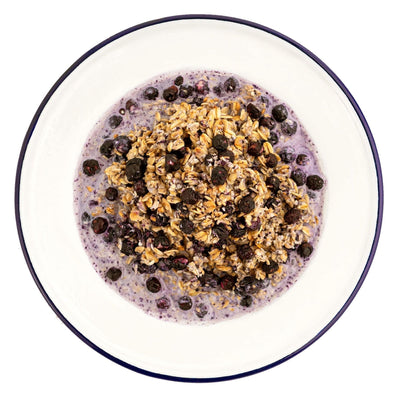 Mountain House Granola with Milk and Blueberries Hiking, Survival & Emergency Food (Pouch) - NORTH RIVER OUTDOORS