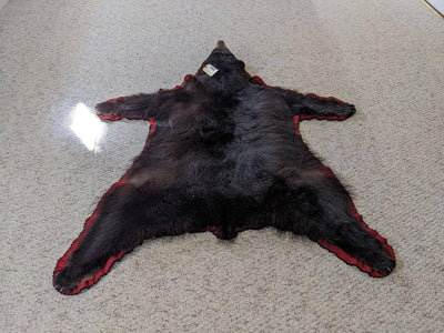 Authentic Black Bear Rug - NORTH RIVER OUTDOORS