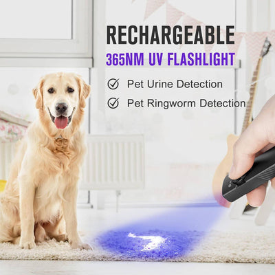 OLIGHT Arkfeld UV 365nm Black Light with 1000 Lumens White LED Flashlight Rechargeable Flat Flashlight for Outdoors, Emergency, Pet Urine Detection - NORTH RIVER OUTDOORS