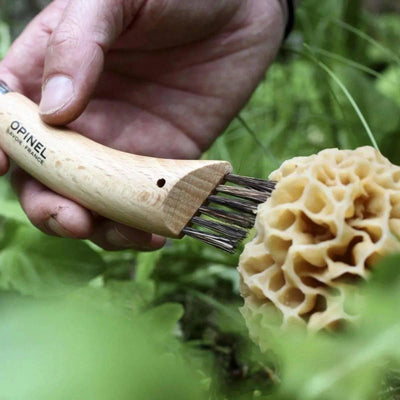 Opinel Stainless Steel No.8 Mushroom Knife - NORTH RIVER OUTDOORS