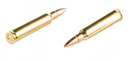 PMC Bronze 223 Remington Ammo 55 Grain FMJ 20 RDS - NORTH RIVER OUTDOORS