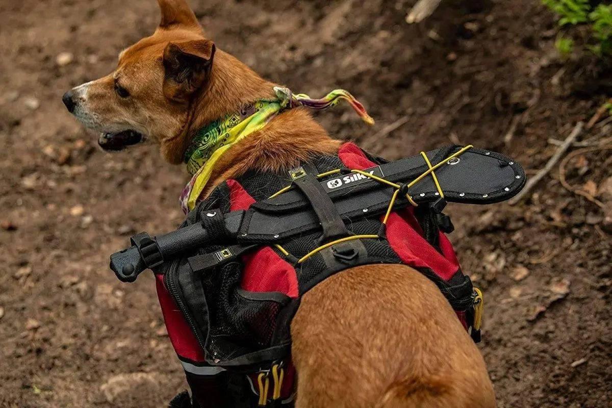 Silky YOKI Professional Machette 270mm Chopper 570-27 - NORTH RIVER OUTDOORS