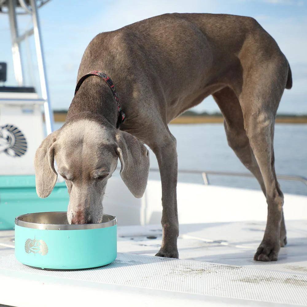 Toadfish Non-Tipping Dog Bowl - NORTH RIVER OUTDOORS