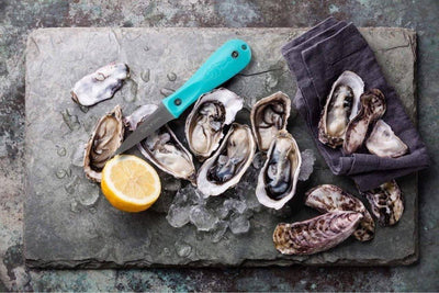 Toadfish Oyster Shucking Opener PUT 'EM BACK Knife - NORTH RIVER OUTDOORS