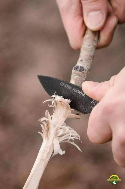 TOPS Crow Hawke Knife - NORTH RIVER OUTDOORS