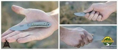 TOPS Sparrow Hawke Knife - NORTH RIVER OUTDOORS