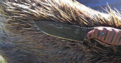 TOPS Viper Scout Fixed Knife USA (Red Handles) - NORTH RIVER OUTDOORS