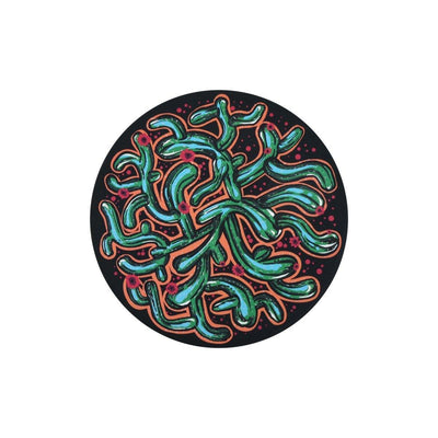 Waboba Wingman Disc (Artist Series) - NORTH RIVER OUTDOORS