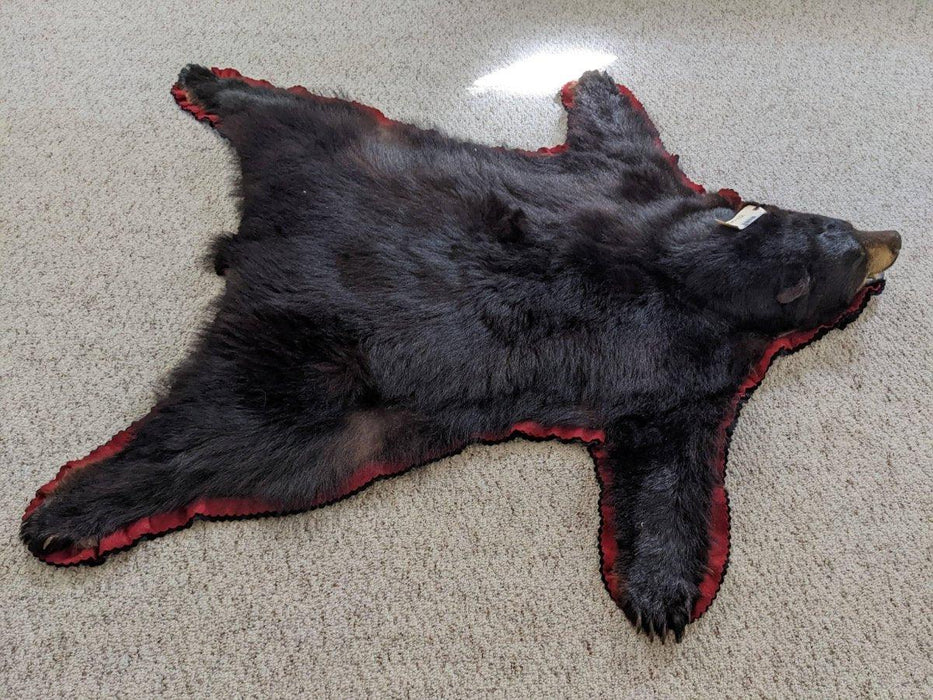 Authentic Black Bear Rug from NORTH RIVER OUTDOORS