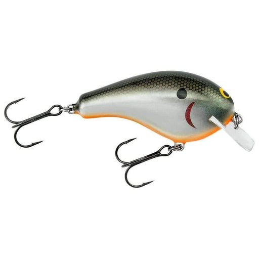Bagley Balsa B1 - Tennessee Shad - 5/16 oz - 2" Fishing Lure from NORTH RIVER OUTDOORS