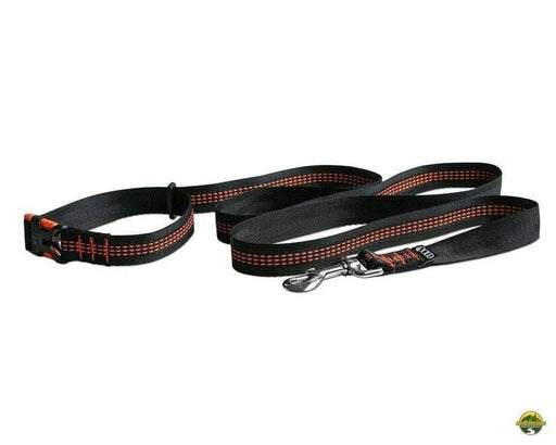 ENO Eagle's Nest reLeash Dog Leash from NORTH RIVER OUTDOORS