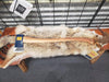 Hults Bruk Agdor 32" Yankee Felling Axe (Sweden) from NORTH RIVER OUTDOORS