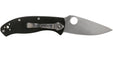 Spyderco C122GP Tenacious Folding Knife 3-3/8" from NORTH RIVER OUTDOORS