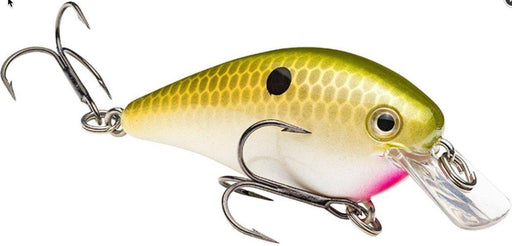 Strike King KVD 1.0 Squarebill Crankbait - Tennessee Shad from NORTH RIVER OUTDOORS