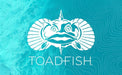 Toadfish 10oz Double Wall Insulated Stainless Steel Rocks Tumbler w/ East Slide Lid from NORTH RIVER OUTDOORS