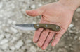 TOPS Mini Scandi Rockies Knife MSK-TBF (USA) from NORTH RIVER OUTDOORS