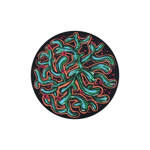 Waboba Wingman Disc (Artist Series) from NORTH RIVER OUTDOORS